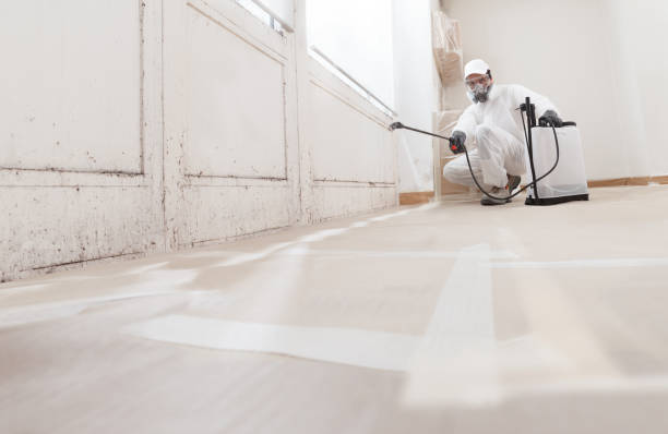 24/7 Emergency Mold Removal experts in Williamston, NC